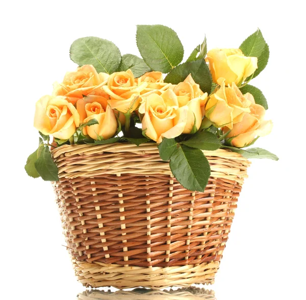 束美丽的玫瑰在篮子上白色隔离 — 图库照片
