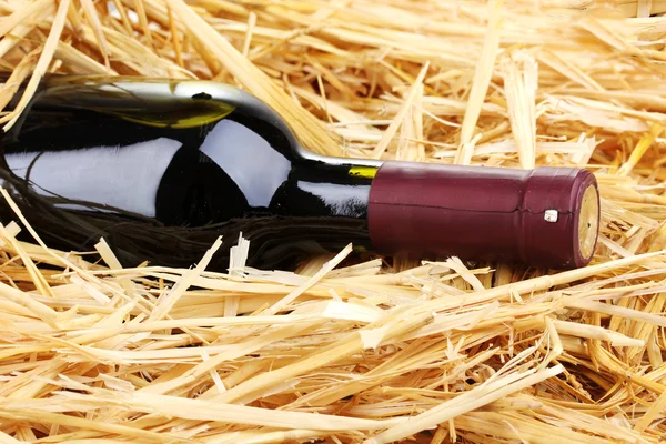Bottiglia di grande vino sul fieno — Foto Stock