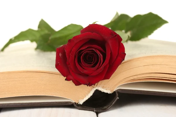 Jasně červená růže na otevřené knize detail — Stock fotografie