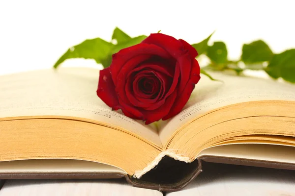 鲜艳的红玫瑰上打开的书特写 — 图库照片
