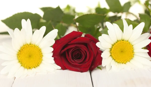 バラの花束と白の木製テーブルのクローズ アップのヒナギク — ストック写真