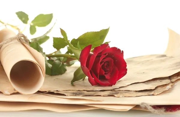 Starých pergamenů a dopisy s růží na bílém pozadí detail — Stock fotografie