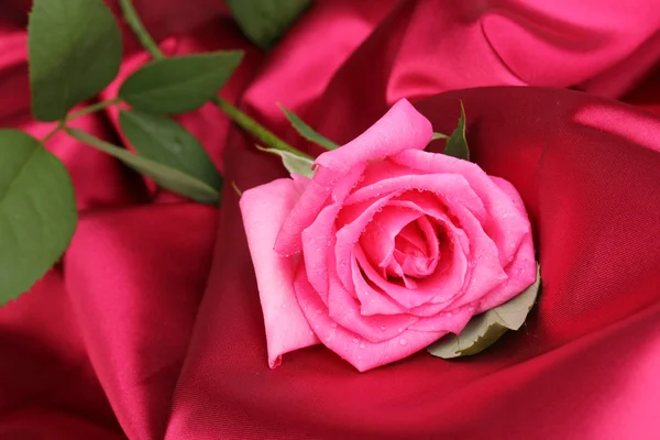 Mooie roos op donker roze doek — Stockfoto