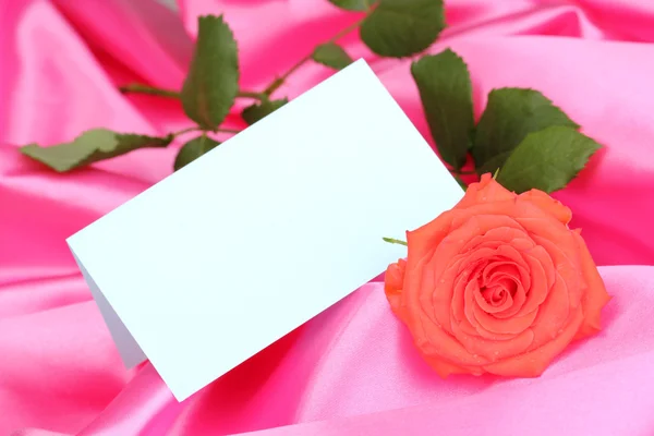 Όμορφο τριαντάφυλλο σε ροζ ύφασμα — Φωτογραφία Αρχείου