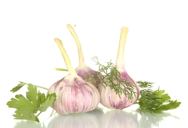 Young garlic with parsley and dill isolated on white background — Stock Photo, Image