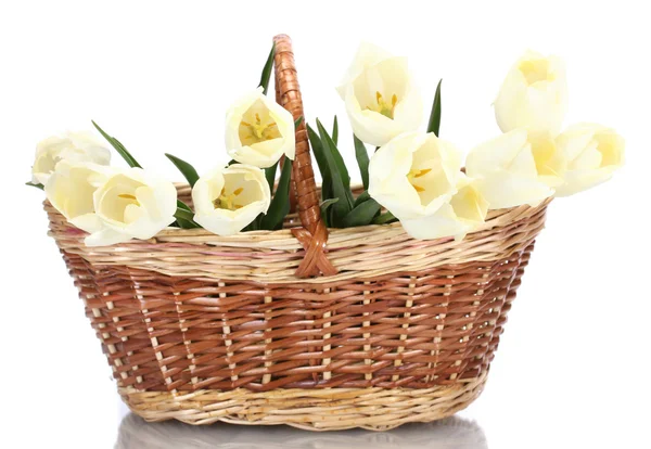 Hermosos tulipanes en cesta aislada en blanco —  Fotos de Stock