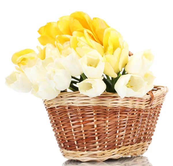Vackra tulpaner i korg isolerad på vit — Stockfoto
