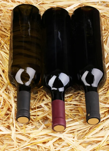 Flaschen großen Weins auf Heu — Stockfoto