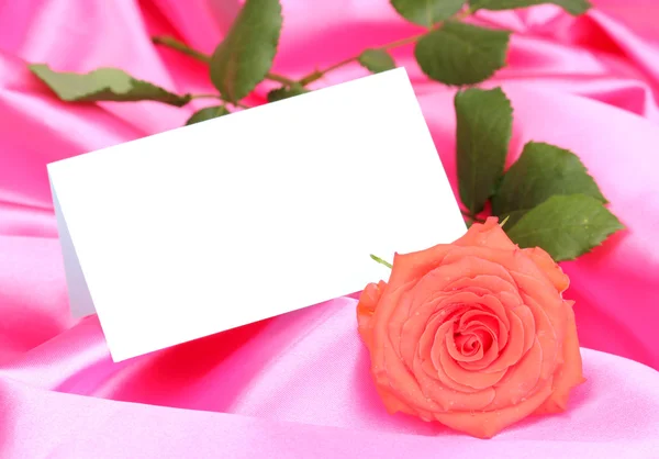Piękna róża na różowe szmatki — Zdjęcie stockowe