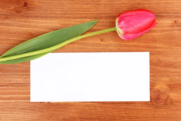 Hermoso tulipán y tarjeta sobre fondo de madera — Foto de Stock