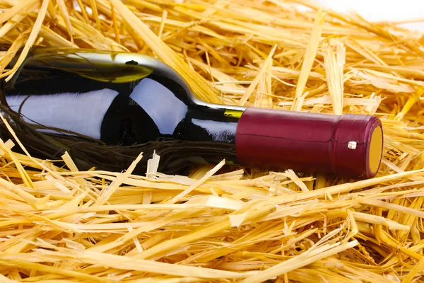 Flaska bra vin på hö — Stockfoto