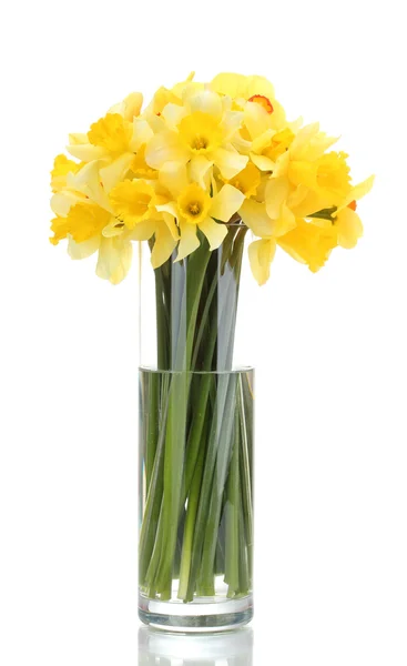 Beautiful yellow daffodils in transparent vase isolated on white — Stock Photo, Image