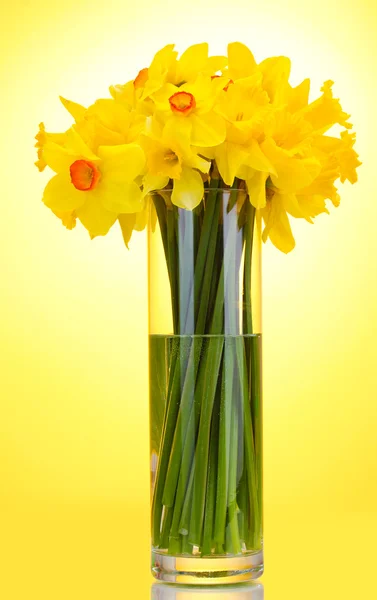 在黄色背景上的透明花瓶美丽黄色水仙 — 图库照片