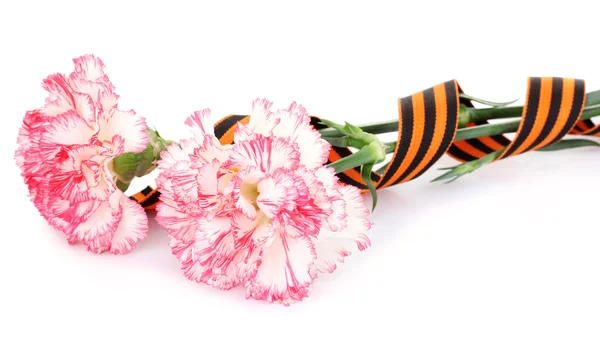 Carnations and St. George's ribbon isolated on white — Stock Photo, Image
