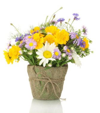 Beautiful bouquet of bright wildflowers in flowerpot, isolated on white clipart