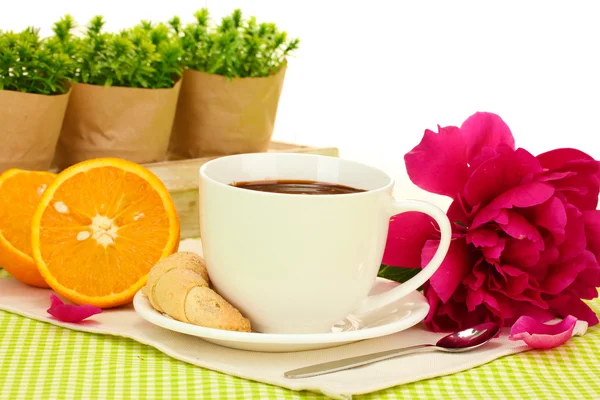 Kopp varm choklad, kakor och blommor på bord i café — Stockfoto