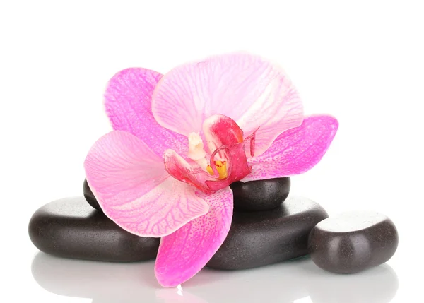 Piedras de spa con flor de orquídea aislada en blanco — Foto de Stock