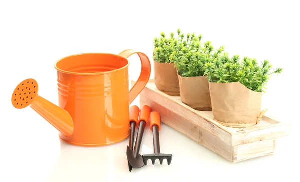 Regadera, herramientas y plantas en macetas aisladas en blanco — Foto de Stock