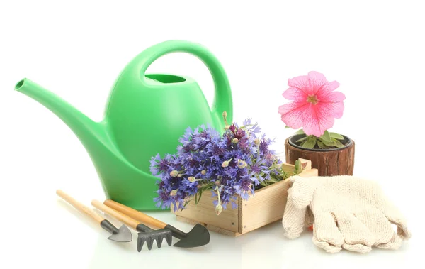 Watering can, tools and flowers isolated on white — Zdjęcie stockowe