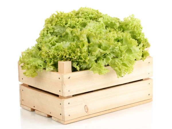 Frischer Salat in Kiste isoliert auf weiß — Stockfoto