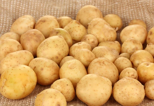 Unga potatis på duk närbild — Stockfoto