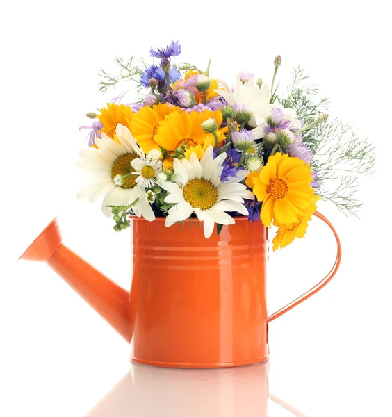 Belo buquê de flores silvestres brilhantes em regar lata, isolado em branco — Fotografia de Stock