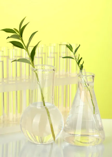 Zkumavky s transparentní řešení a rostlin na žlutém pozadí detail — Stock fotografie