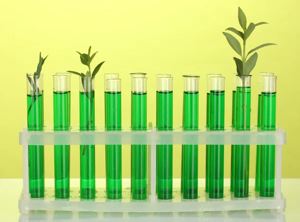 Tubes à essai avec une solution verte et la plante sur fond jaune gros plan — Photo
