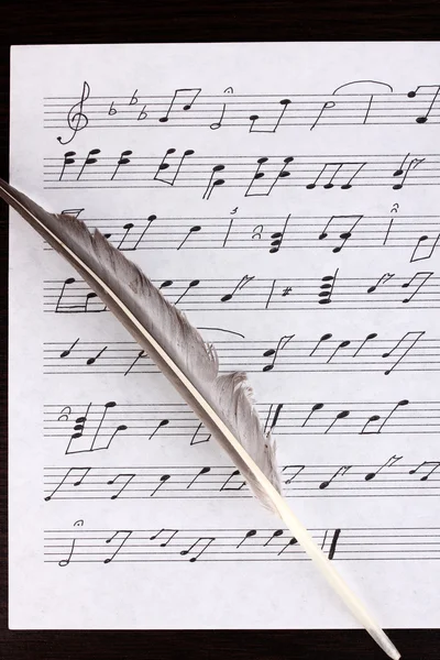 Notas musicales y primer plano de plumas — Foto de Stock