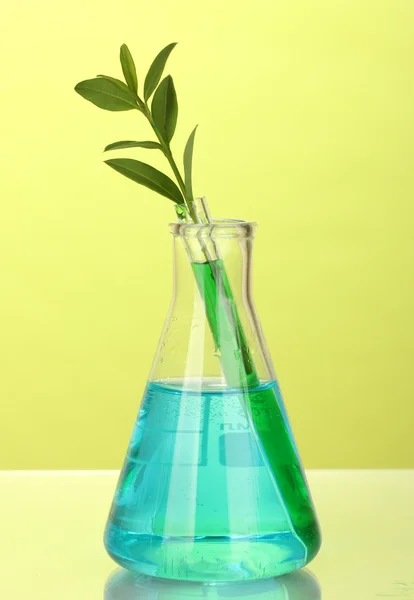 Reagenzgläser mit bunter Lösung und Pflanze auf gelbem Hintergrund in Großaufnahme — Stockfoto
