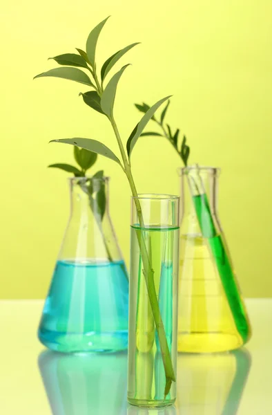 Reagenzgläser mit bunter Lösung und Pflanze auf gelbem Hintergrund in Großaufnahme — Stockfoto