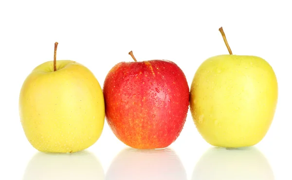 新鲜的苹果上白色隔离 — 图库照片