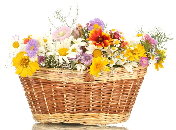 Bellissimo bouquet di fiori di campo luminosi in cesto, isolato su bianco — Foto Stock
