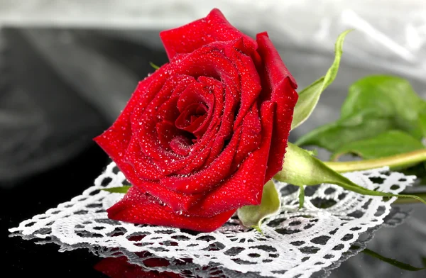 Rudá růže na krajky na šedém pozadí detail — Stock fotografie