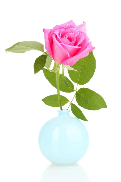 Όμορφο τριαντάφυλλο σε βάζο που απομονώνονται σε λευκό — Φωτογραφία Αρχείου
