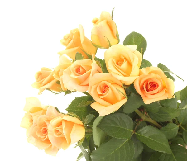 Krásná kytice růží izolovaných na bílém — Stock fotografie