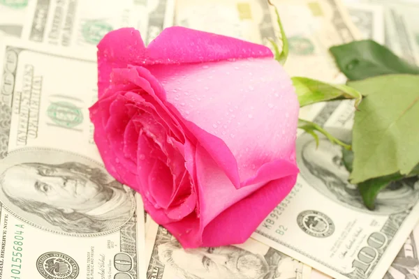 Concept of love and money — Stock Photo, Image
