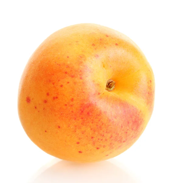 孤立在白色的成熟甜杏 — 图库照片
