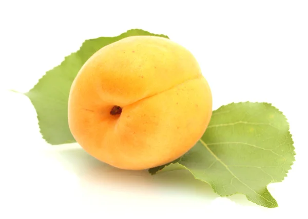 Ripe sweet apricot with green leaves isolated on white — Stock Photo, Image