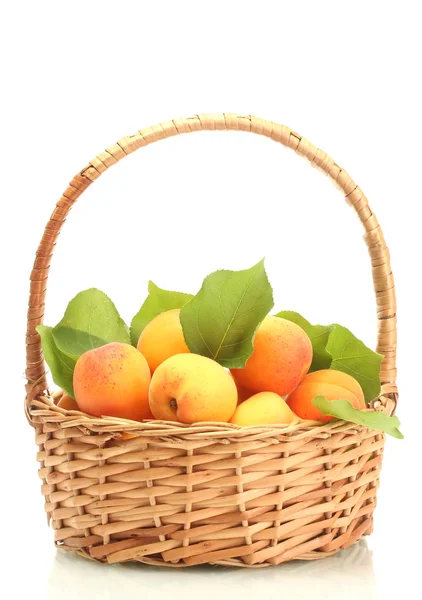 Спелые абрикосы с зелеными листьями в корзине изолированы на белом — стоковое фото
