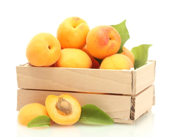 Mogna aprikoser med gröna blad i trälåda isolerad på vit — Stockfoto