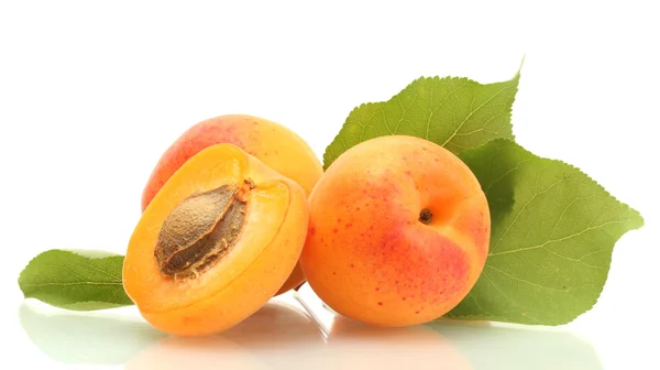 Rijpe zoete abrikozen met groene bladeren geïsoleerd op wit — Stockfoto