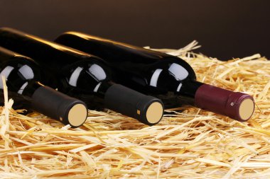 Bottles of great wine on hay on brown background clipart