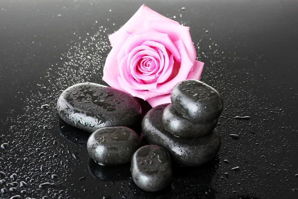 Spa stones with drops and pink rose on grey background — Stock Photo, Image