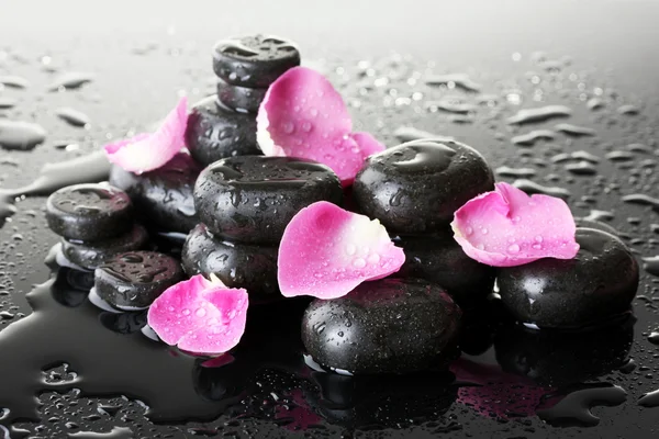 Pedras de spa com gotas e pétalas de rosa sobre fundo cinza — Fotografia de Stock