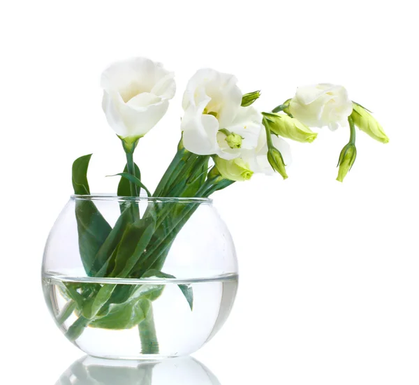 Hermosas flores de primavera en jarrón aislado en blanco —  Fotos de Stock