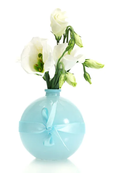 Bellissimi fiori primaverili in vaso isolato su bianco — Foto Stock