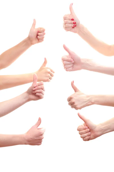 Група молодих рук ізольована на білому — стокове фото