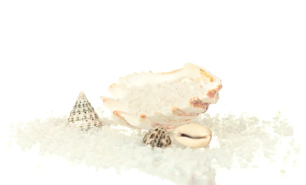 Sal marinho com conchas isoladas em close-up branco — Fotografia de Stock