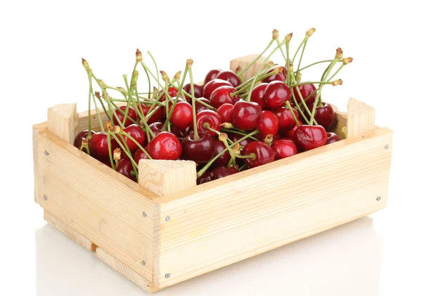 Спелые ягоды вишни в ящике изолированы на белом — стоковое фото